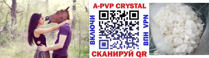 купить наркотики цена  KRAKEN маркетплейс  A PVP СК  Курлово 