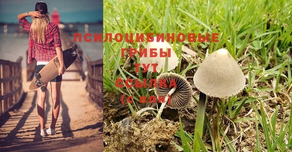 гашиш Костерёво