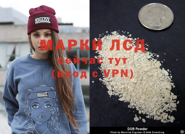 мяу мяу мука Коряжма