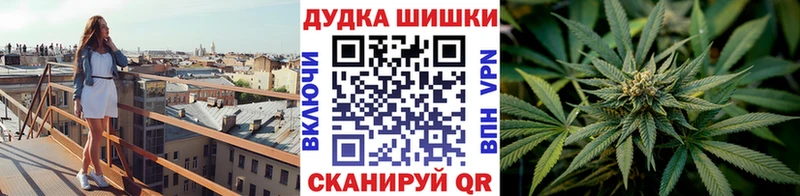 МАРИХУАНА план сколько стоит Курлово